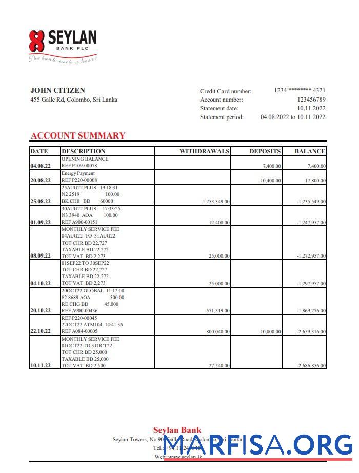 Printable Sri Lanka Seylan bank statement excel real example